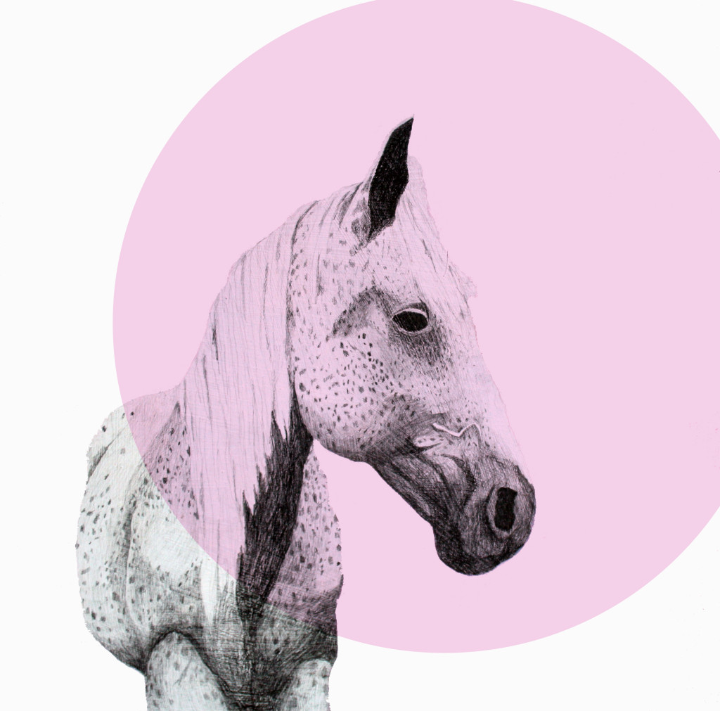 speckledhorse